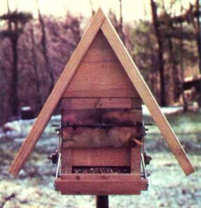 Build a Grackle-Proof Bird Feeder Image